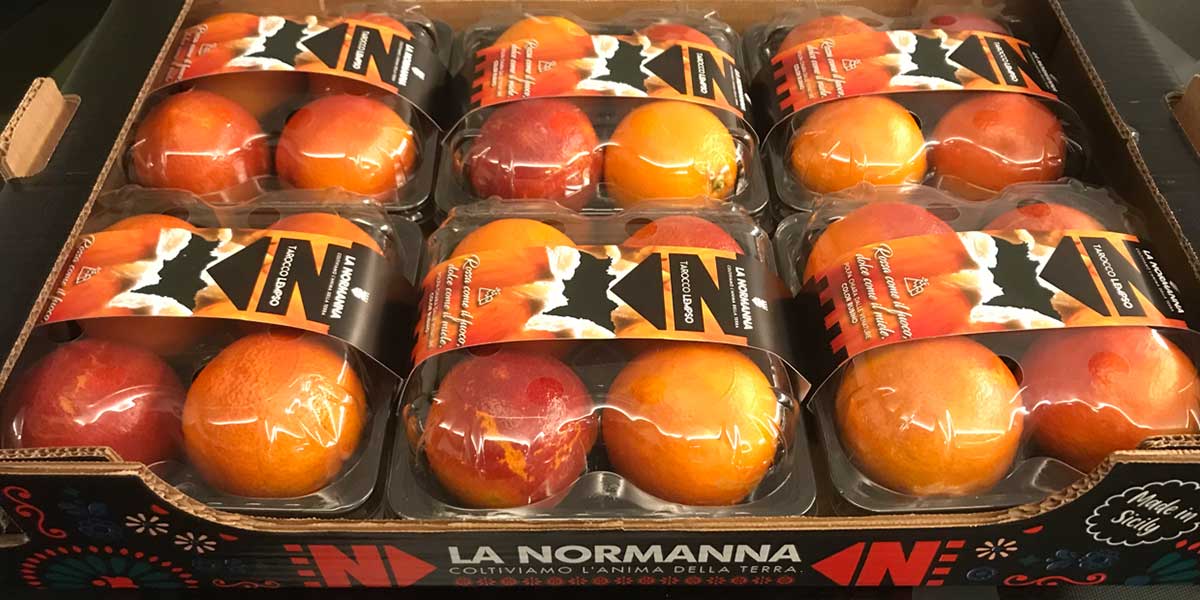 «Lempso e Sanguinello si prendono la scena, a breve inizia il Tarocco tardivo»